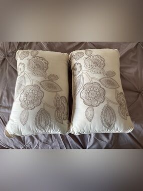 Exquisite set of 2 throw pillows